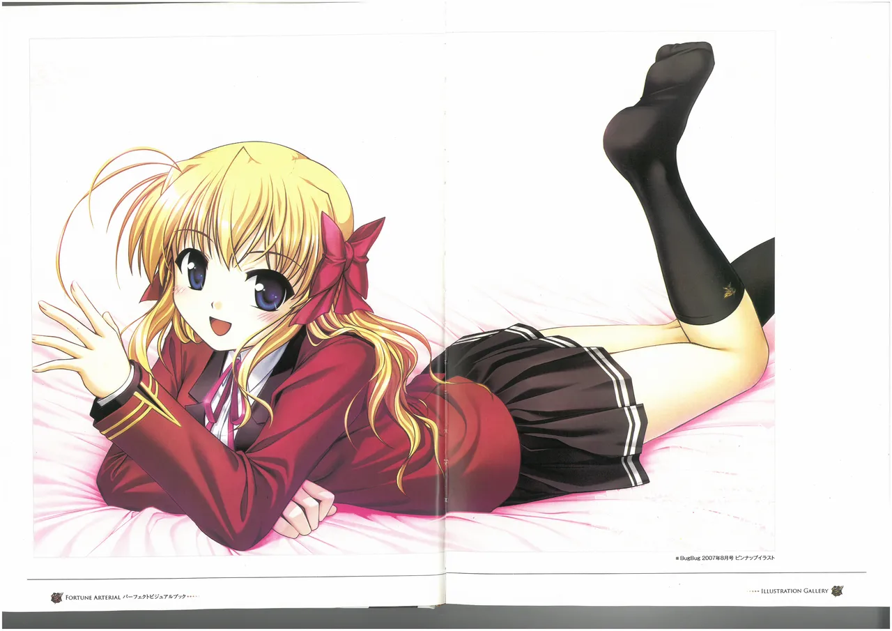 FORTUNE ARTERIAL PERFECT VISUAL BOOK page 10 full