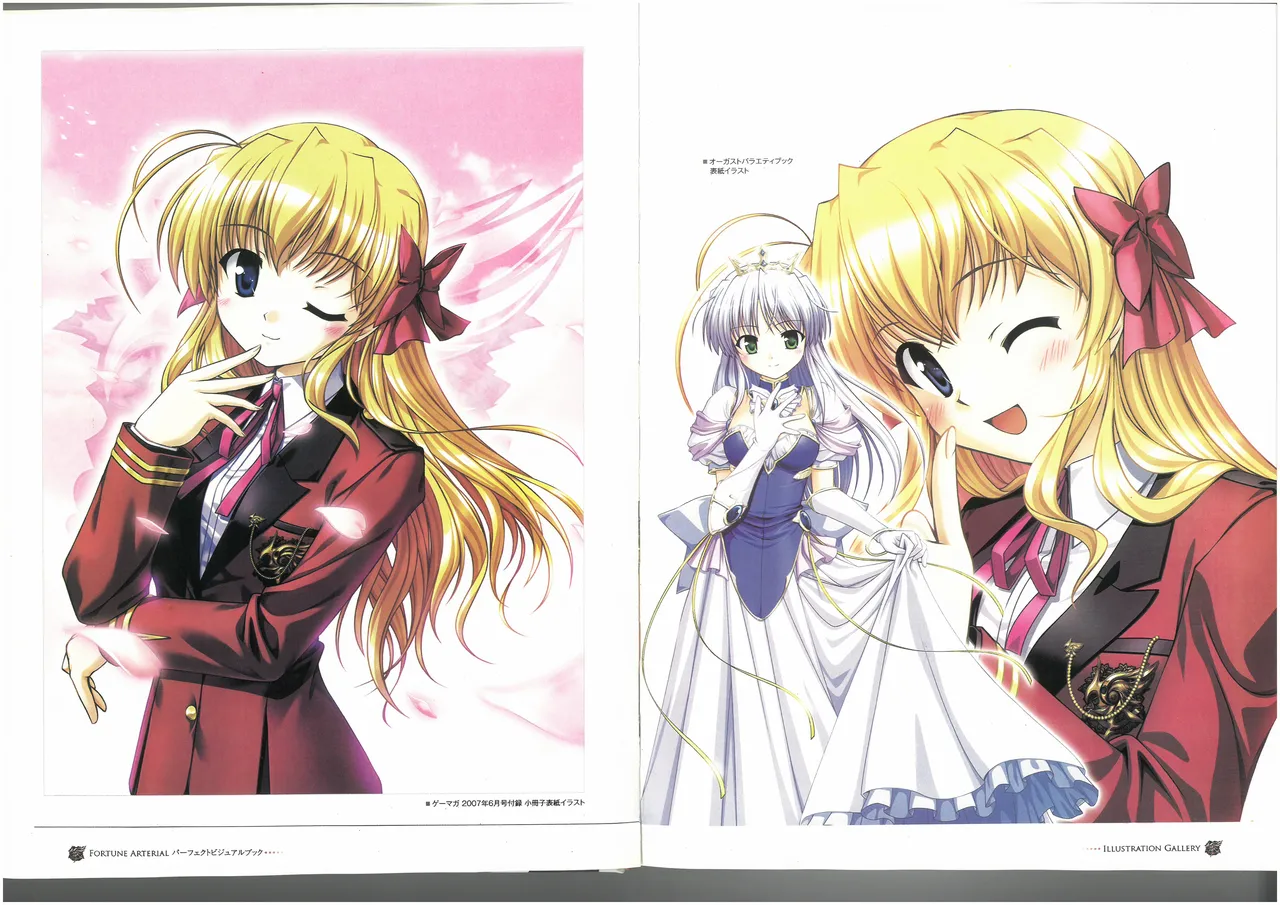 FORTUNE ARTERIAL PERFECT VISUAL BOOK page 12 full