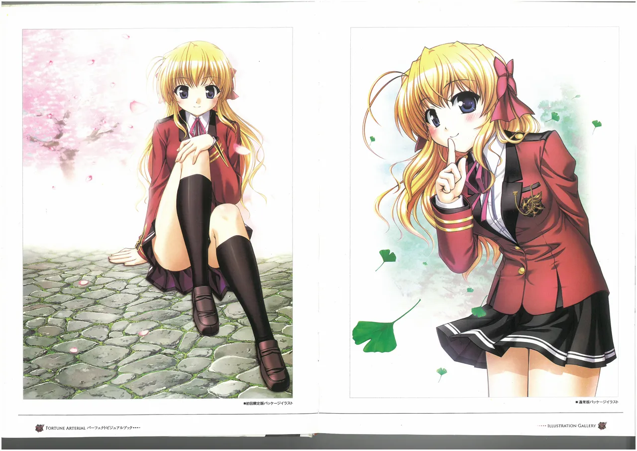 FORTUNE ARTERIAL PERFECT VISUAL BOOK page 4 full