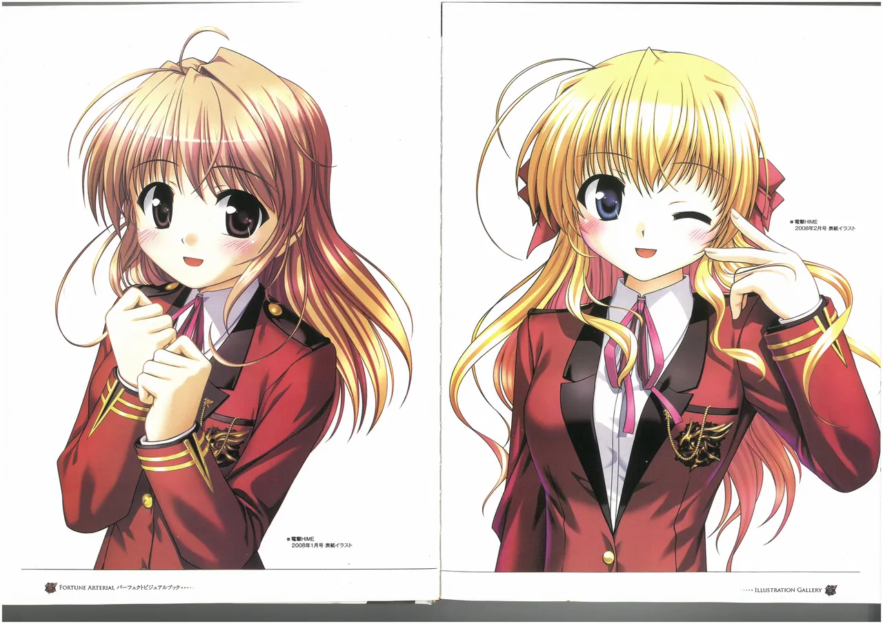 FORTUNE ARTERIAL PERFECT VISUAL BOOK page 7 full
