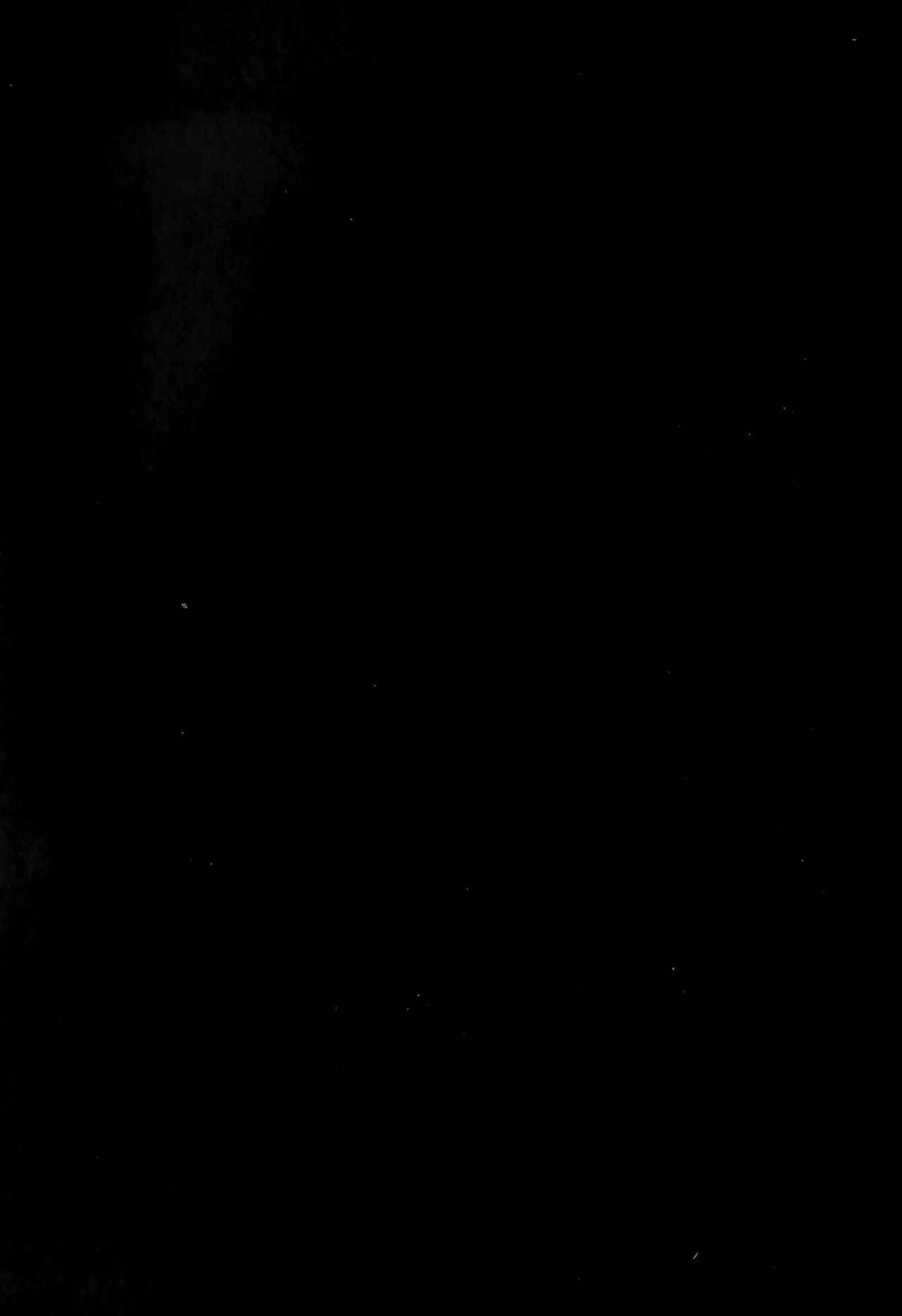 El Desvanecer del Castigo Divino- Pokemon LEGENDS Arceus dj- Volo x Akari  Dur page 2 full