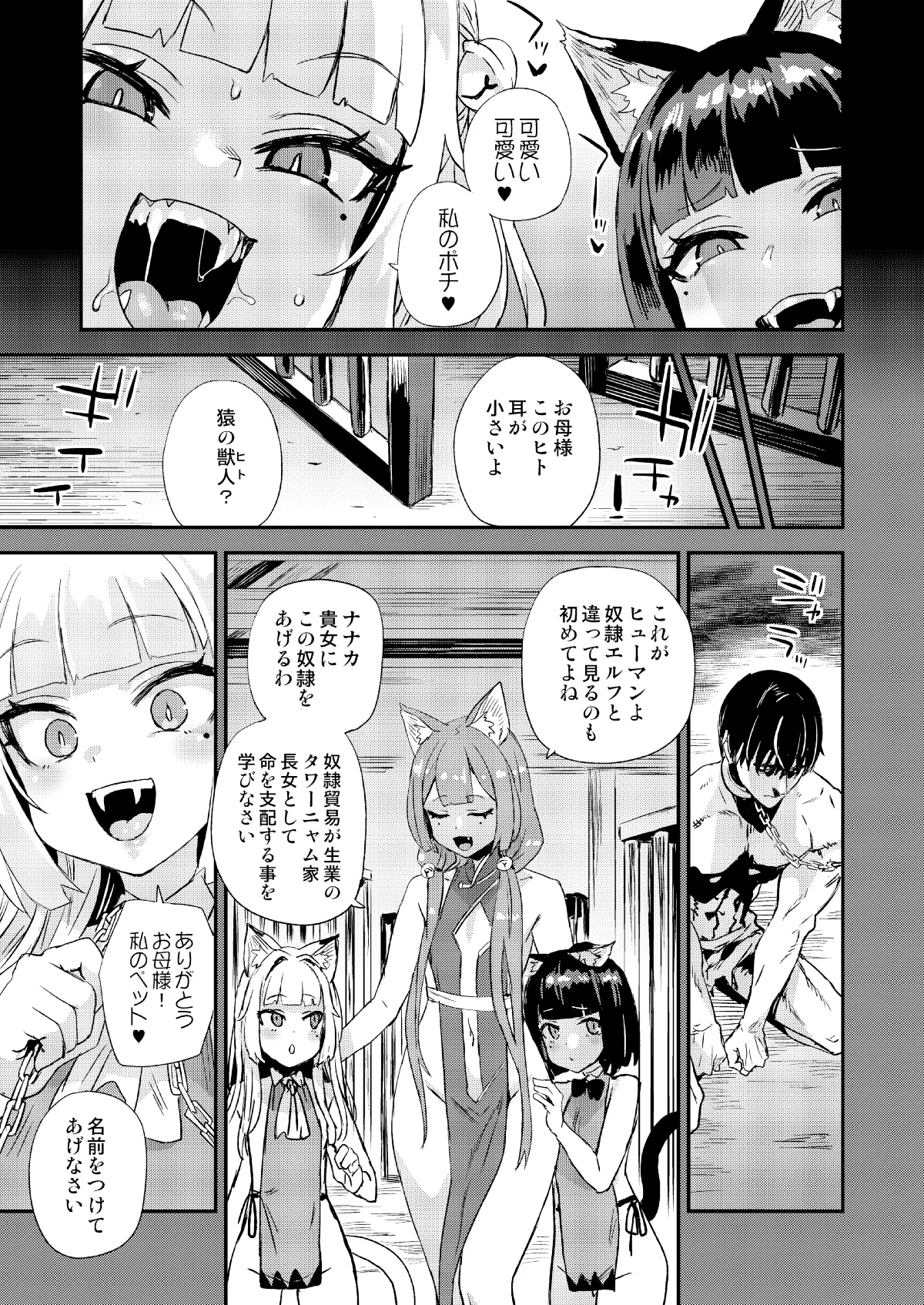 猫族娘はヒトを飼う。 page 3 full
