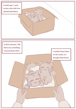 My Submissive Little Kitties