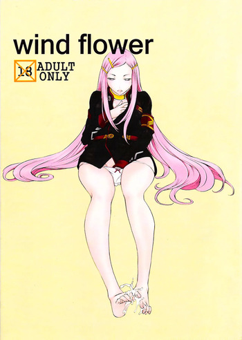 (C75) [Konekodamashi (Harazaki Takuma)] wind flower (Eureka 7) [English] [Kinsei Translations] cover