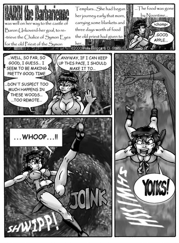 [Dennis Stahl] Barbi the Barbarienne 02 [ENG] cover