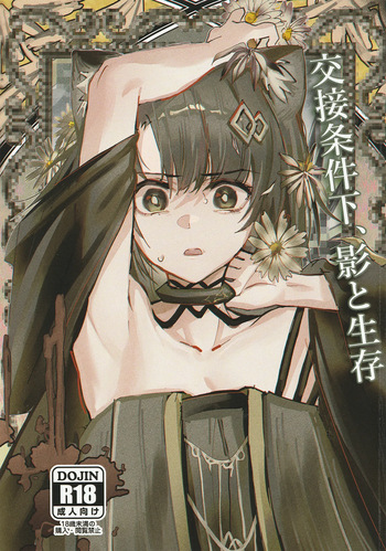 (C107) [Flat Plaque (Kagura)] Kousetsu Joukenka,  Kage to Seizon  (Arknights) cover