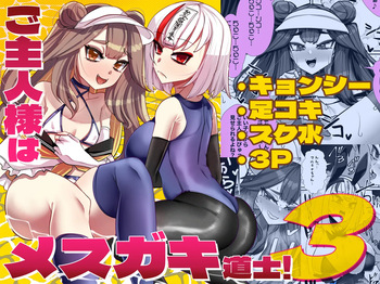 [ブリッツクリーク (にわとり軍曹)] ご主人様はメス○キ道士！3 cover