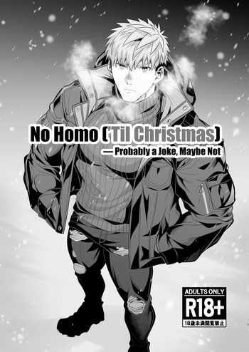 [Hihumi] No Homo (’Til Christmas)— Probably a Joke Maybe Not  [ENG] cover