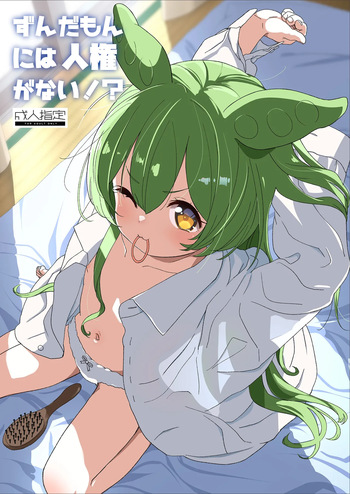[Bizensiki Roroppu (Bizen)] Zundamon ni wa Jinken ga Nai!? (VOICEROID) [Digital] cover