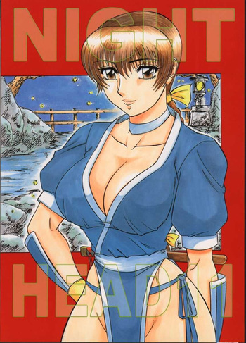(CR27) [Circle Taihei-Tengoku (Aratamaru)] NIGHT HEAD 11 (Dead or Alive) cover
