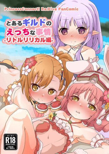 とあるギルドのえっちな事情-リトルリリカル編- cover