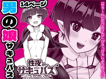 [Rigudaru (Rigudaru)] Seiya no Succubus | Hole(y) night Succubus [English] [TSHH] cover