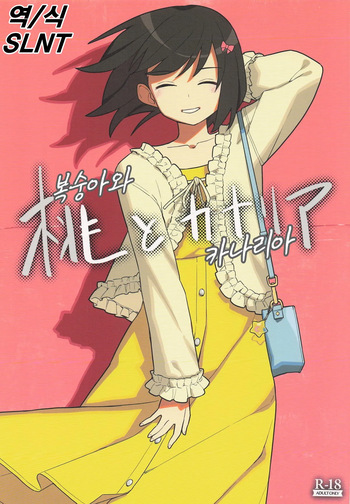 (C106) [Tanaka-ke no Kamo (Tanaka Ahiru)] Momo to Kanaria | 복숭아와 카나리아 (Hibike! Euphonium) [Korean] [SLNT] cover
