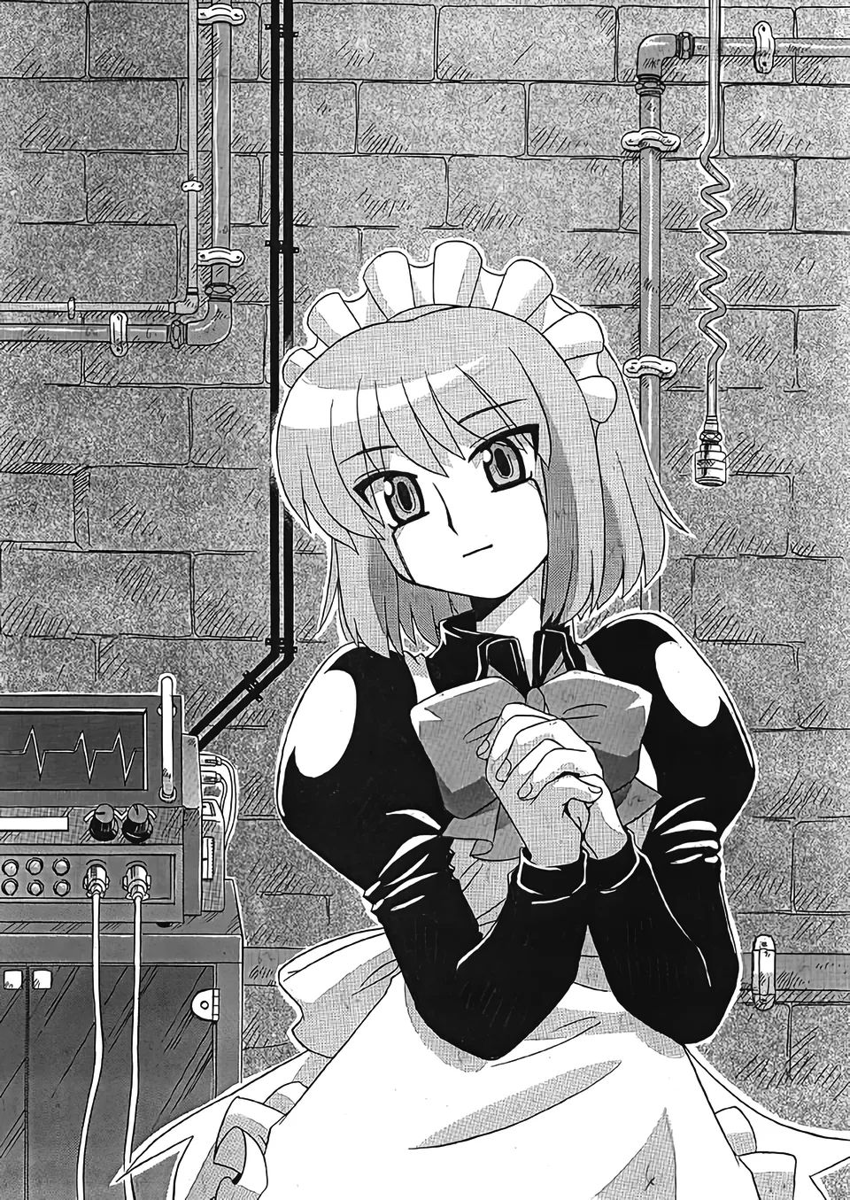 Mecha Hisui ga Ichiban Hoshii Gohoubi | What Mecha Hisui Wants the Most page 1 full