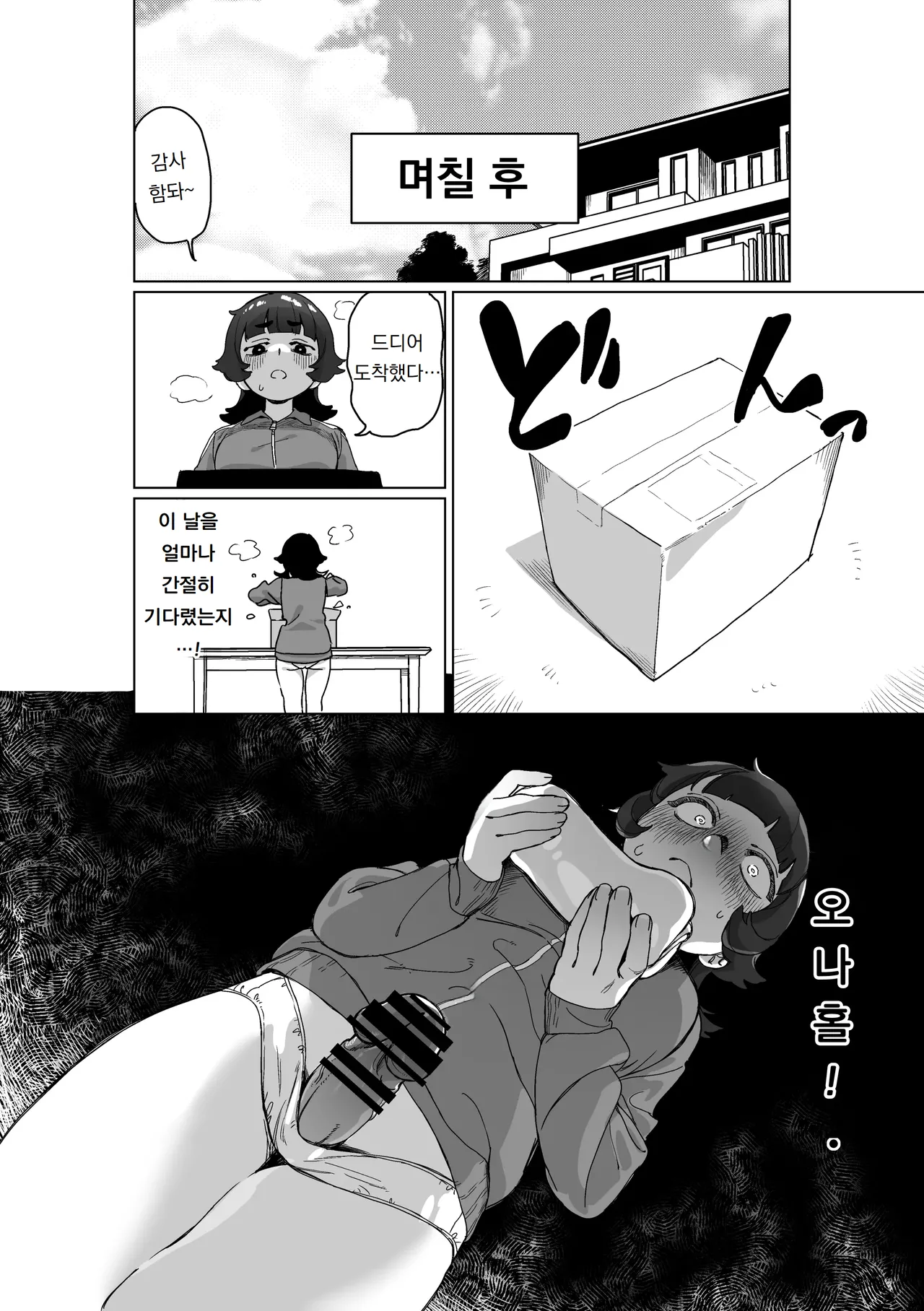 히키코모리 언니에게 꼬추가 생긴다면 Hikikomori no Ane ni Chinchin ga Haetara page 11 full
