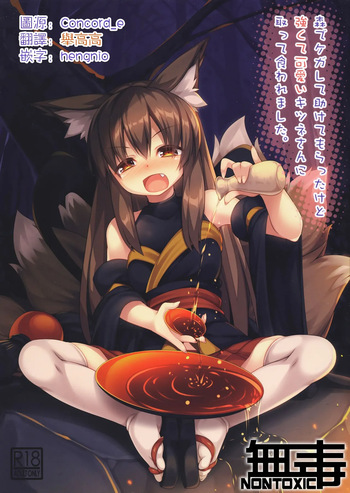(C96) [Doku Denpa Jushin-chuu (Roshin)] Mori de Kega Shite Tasukete Moratta kedo Tsuyokute Kawaii Kitsune-san ni Totte Kuwaremashita. (VGT13) (English) cover