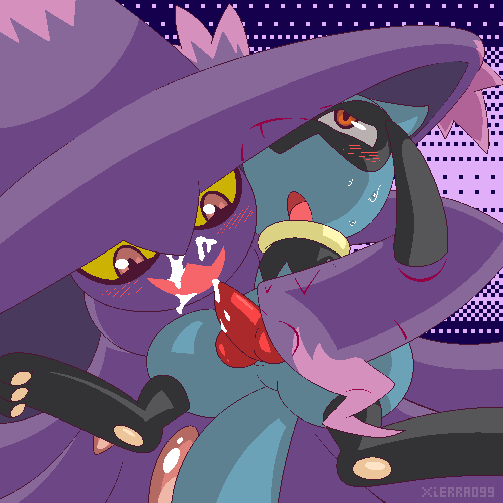 Riolu learns the Type Chart page 7 full