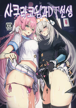 사쿠라코님과 DT선생님