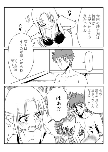 [京唄麻呂] 衛宮無双 (Fate/stay night) cover