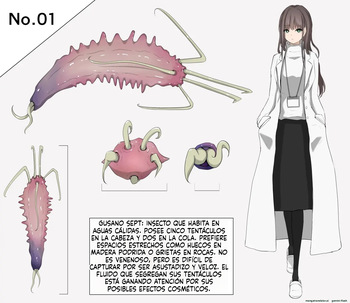 Insect Research Report (Spanish) MTL cover