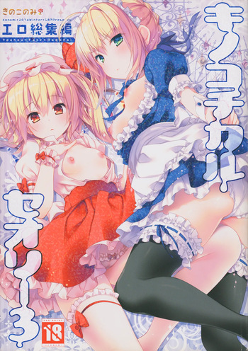 (C87) [KINOKONOMI (konomi)] KINOKOTICAL THEORY 3 (Touhou Project) cover