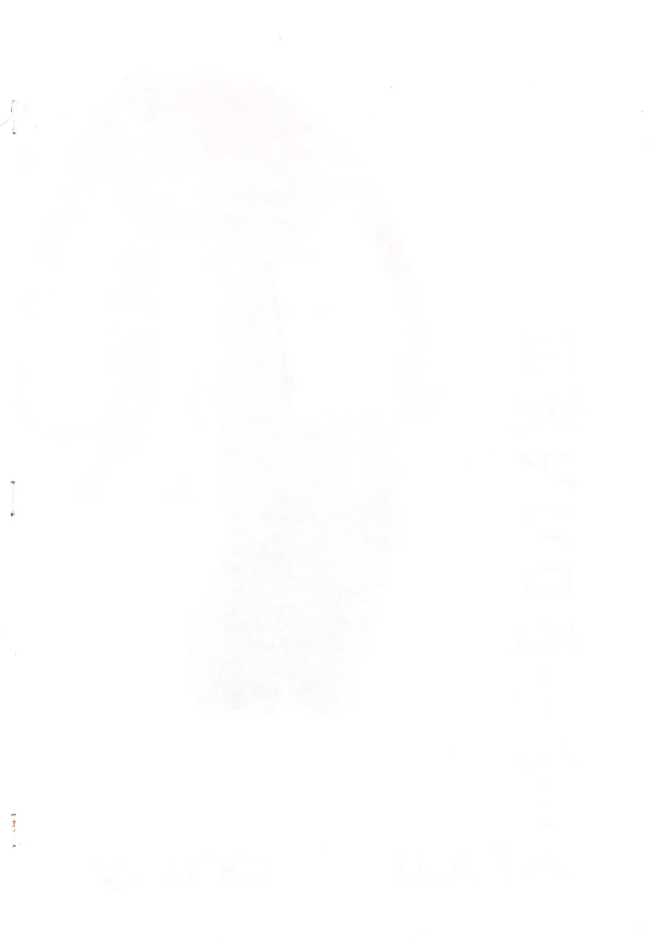 Sandei Afronoon... page 2 full