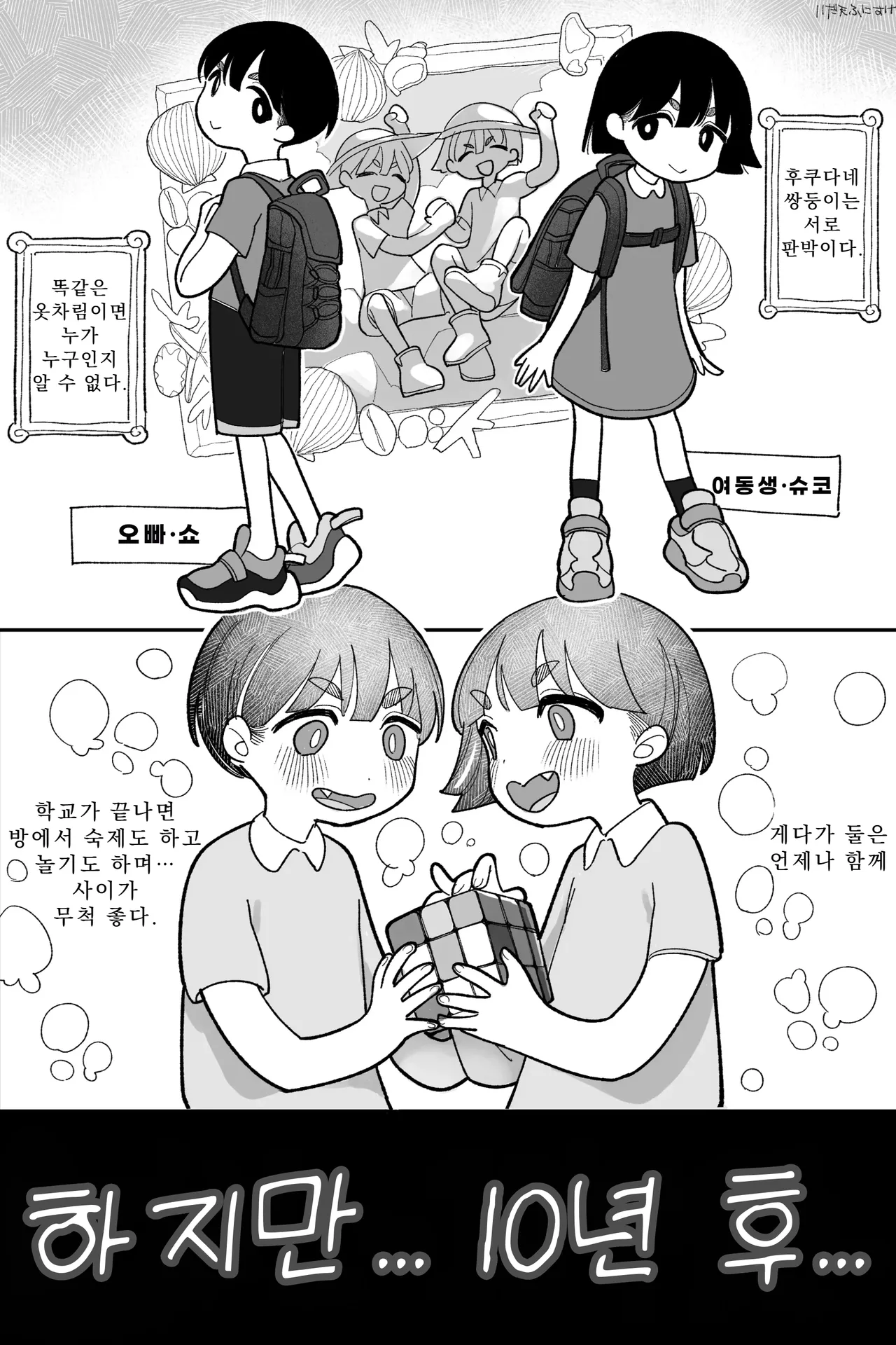 옛날엔 사이가 좋았던 쌍둥이 완전판 page 2 full