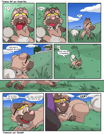 [Dweet-Tea] Breeding 104 / Crianza 104 (Pokémon) [Spanish] cover