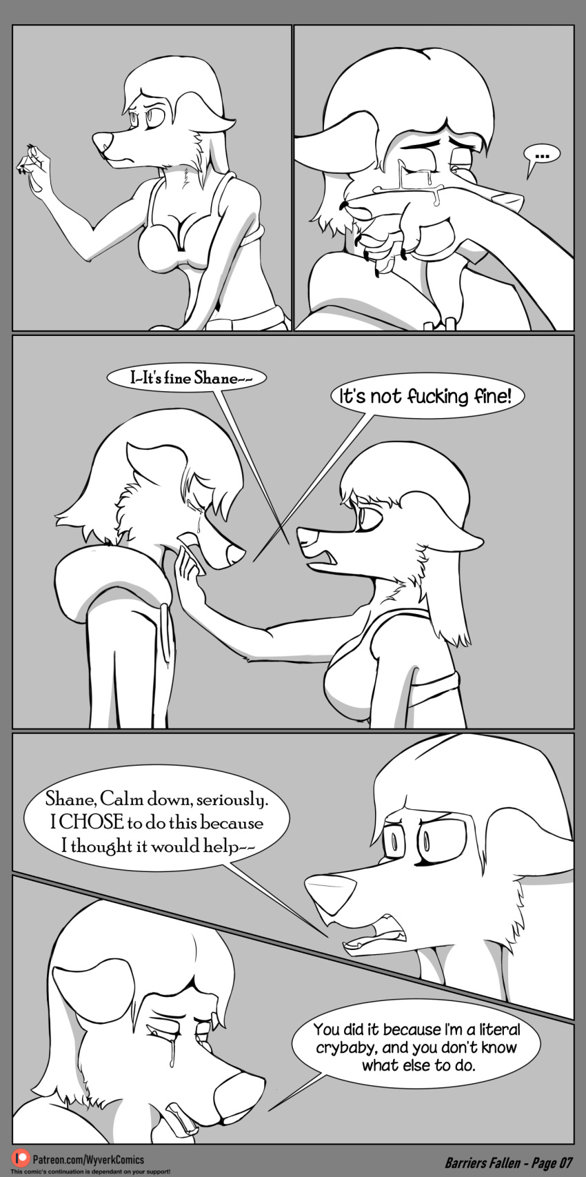 Barriers Fallen page 9 full