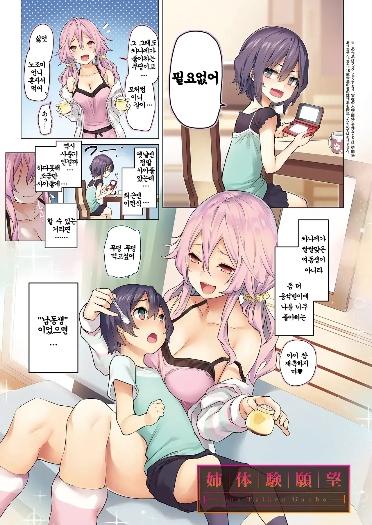 Ane Taiken Jogakuryou End Collection + Sister's Art Archive ｜ 누나 체험 여자기숙사 End Collection page 10 full
