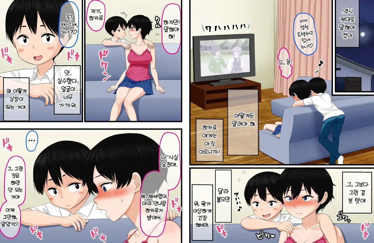 Otouto no "Nama Onaho" ni Naritagatte Iru Onee-chan wa Kekkou Ooi...... Rashii yo!? | 남동생의 '생 오나홀'이 되고 싶어 하는 누나가 꽤 많다······나 봐!? page 8 full
