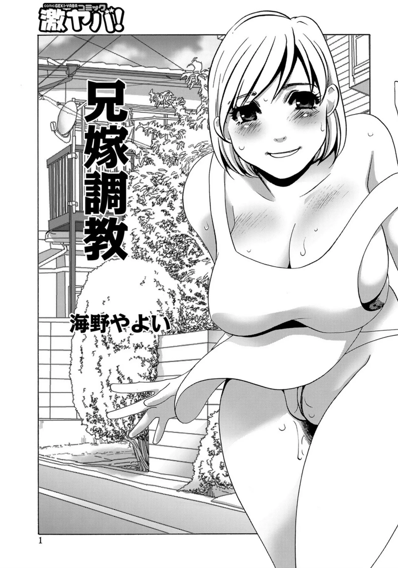 Aniyome Choukyou page 1 full