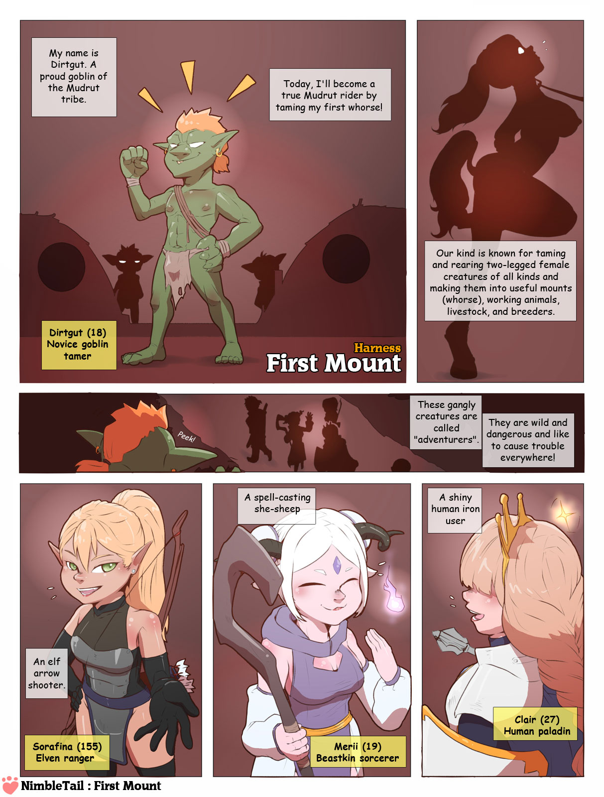 nimbletail Harness First Mount page 1 full