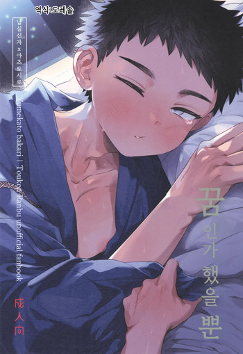 [Ebiharami (Yoruge)] 꿈인가 했을 뿐 Yume ka to motori (Touken Ranbu) cover