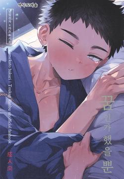 꿈인가 했을 뿐 Yume ka to motori