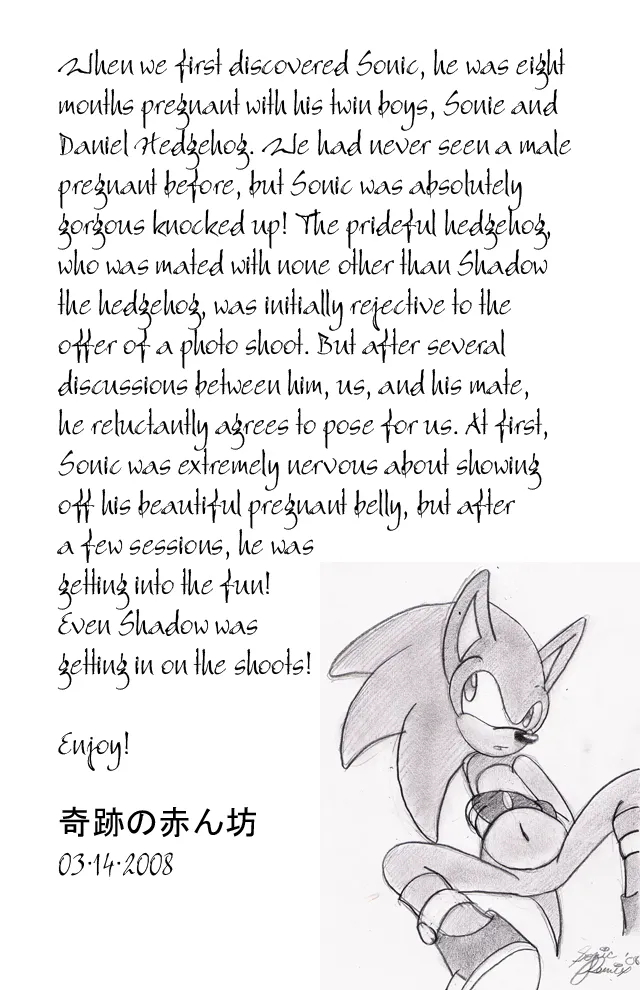 SonicRemix's Sonic Mpreg Art page 2 full