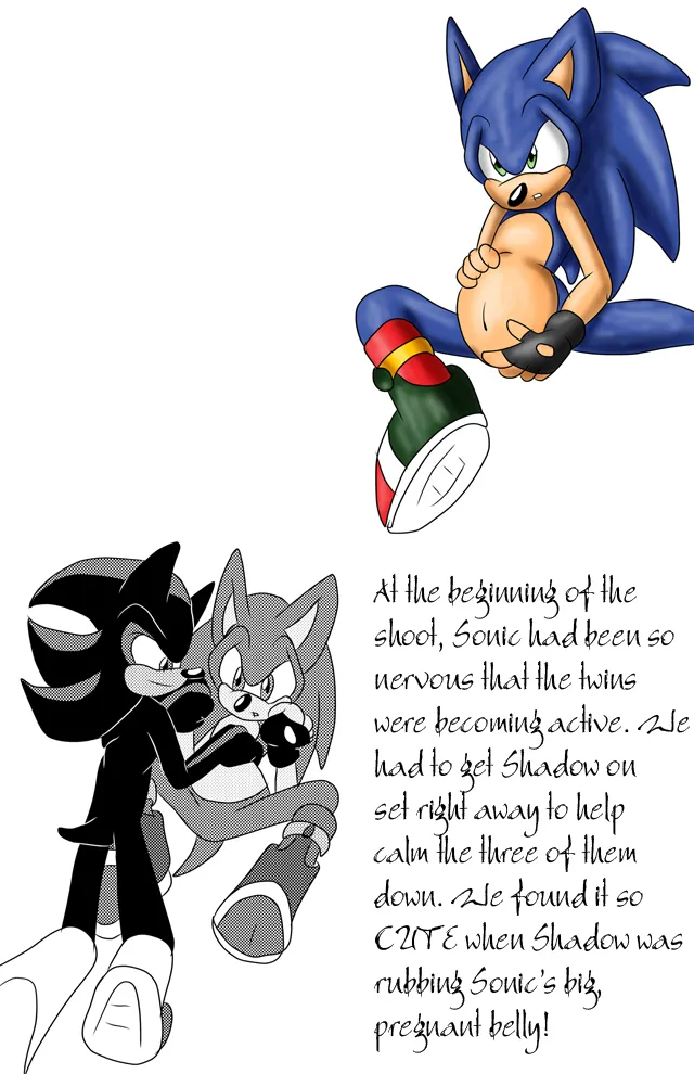 SonicRemix's Sonic Mpreg Art page 4 full