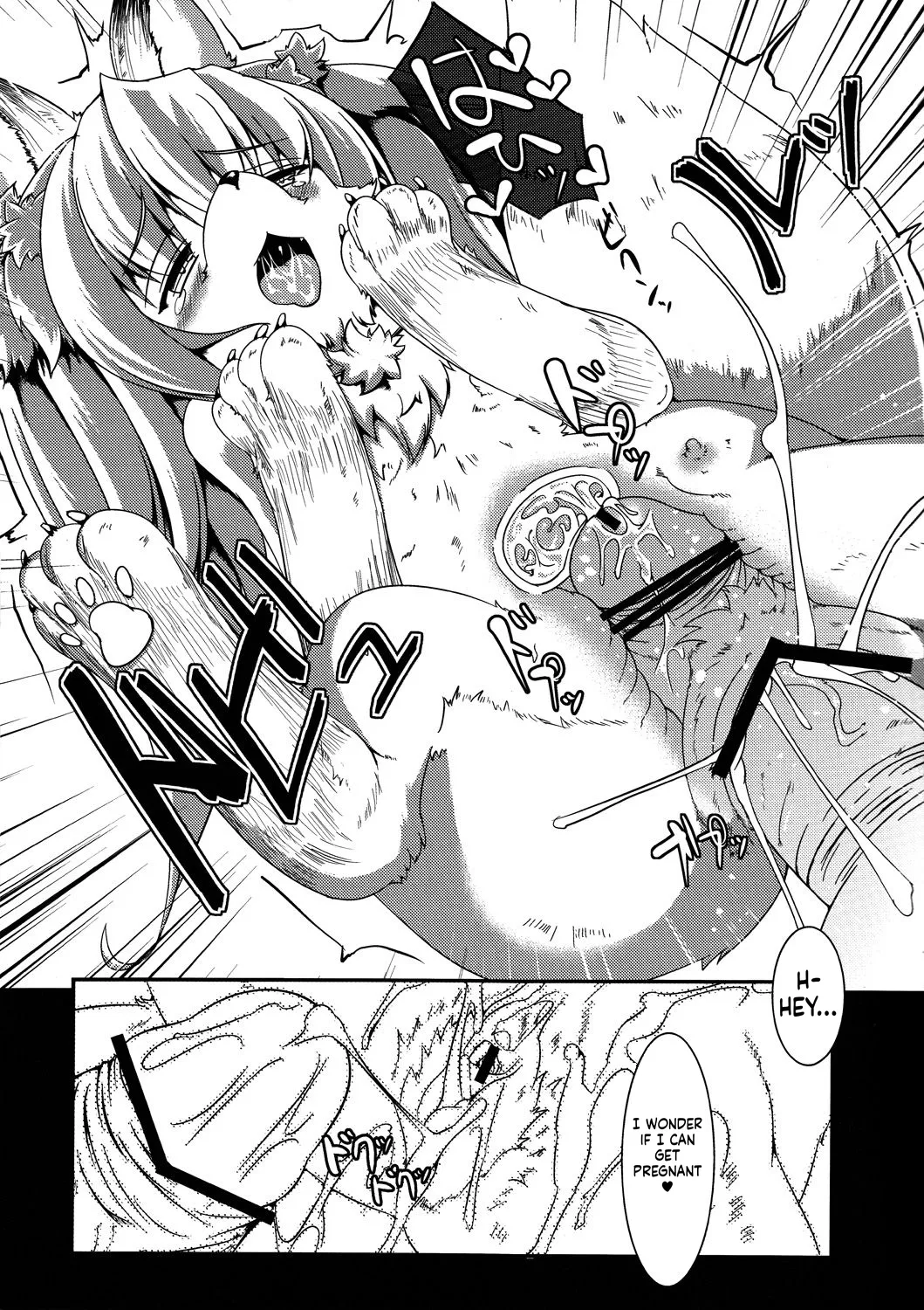 tion page 12 full