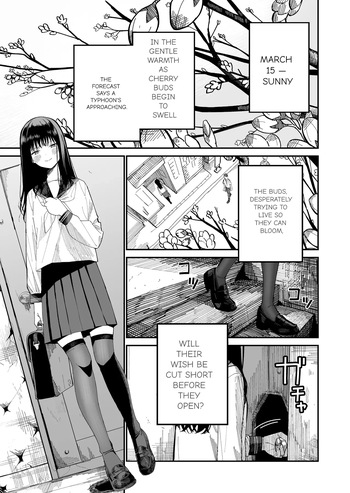 [Mameroku] Mr. Kimura's observation diary cover