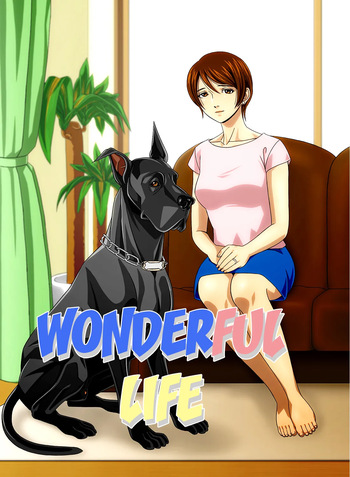 Wonderful Life cover