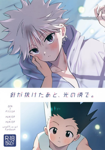 (ENDLESS×HUNTER 2) [P-SUKAGOO (Guusuka)] Hari ga Nuketa Ato, Hikari no Soba de. (Hunter x Hunter) cover