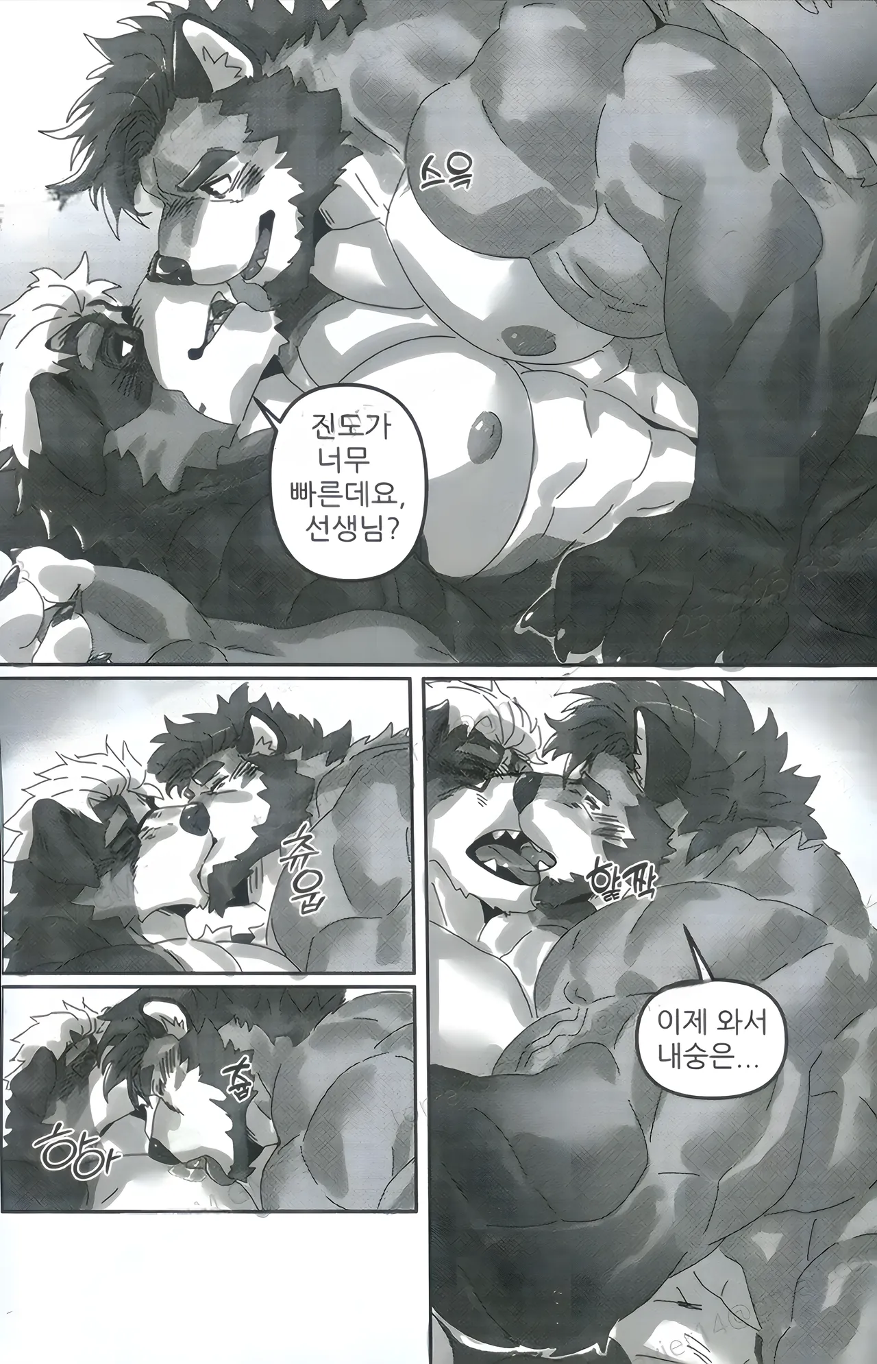 PRIVATE  GYM page 12 full