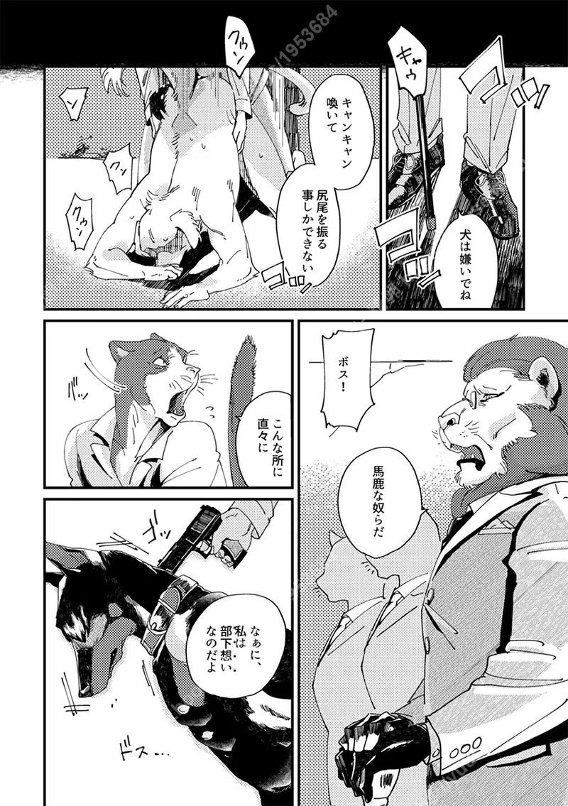 meow bow dow wow page 11 full