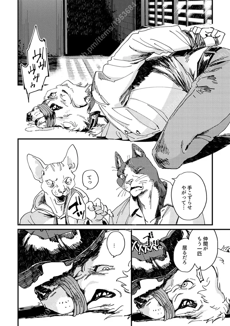 meow bow dow wow page 3 full