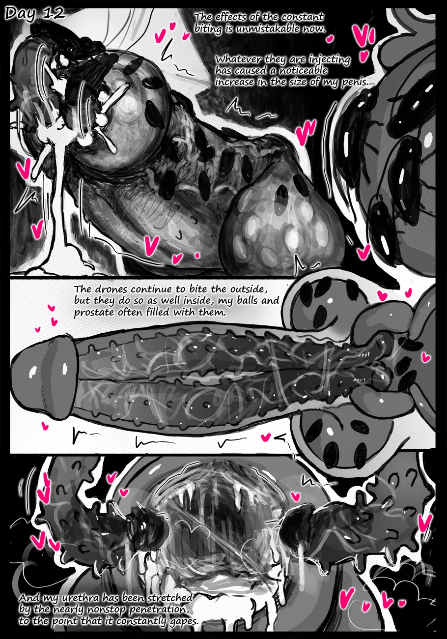 Observation Continues... page 8 full