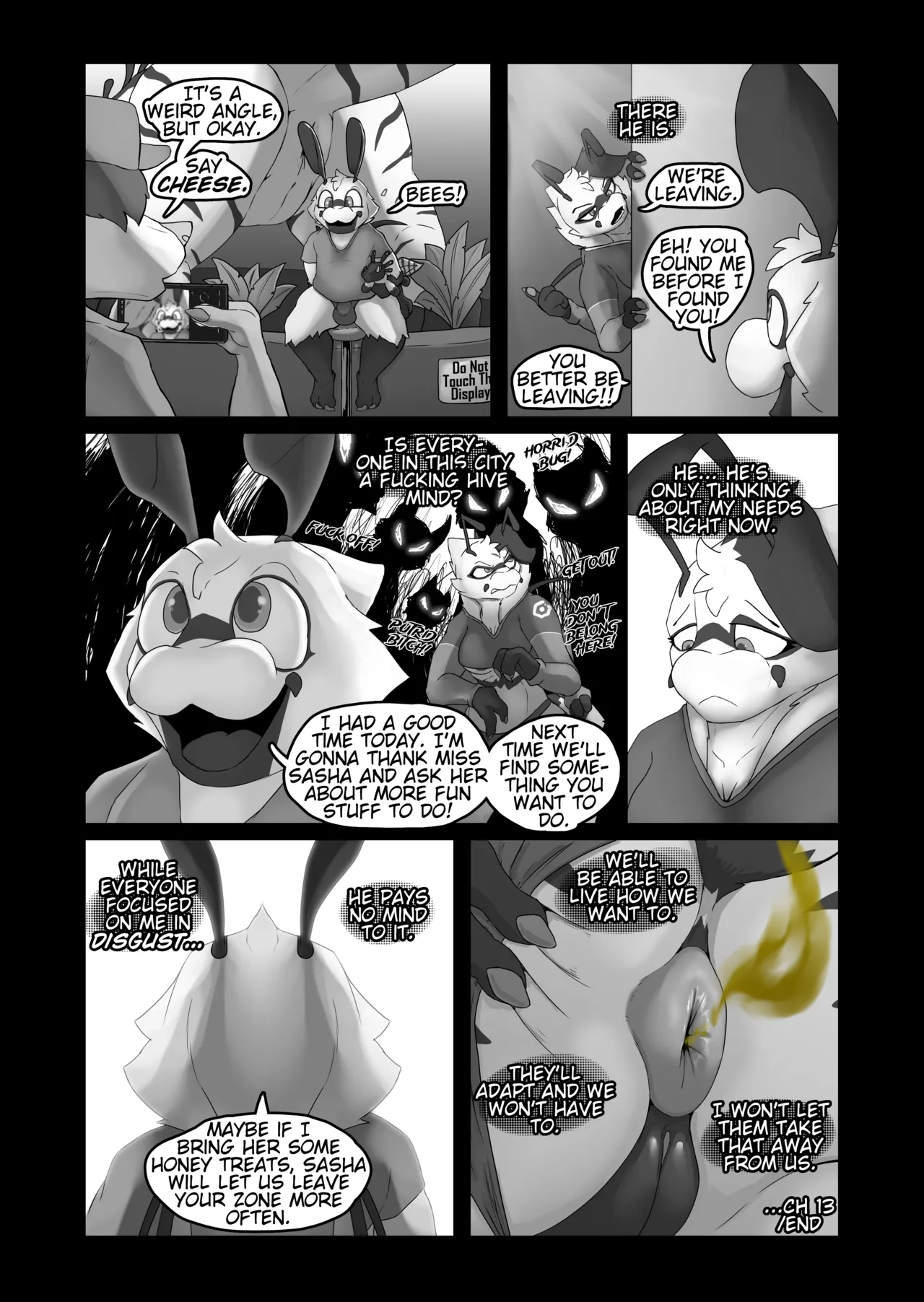 B.R.A.P. : Chapter 13 - Fanning Combvention page 11 full