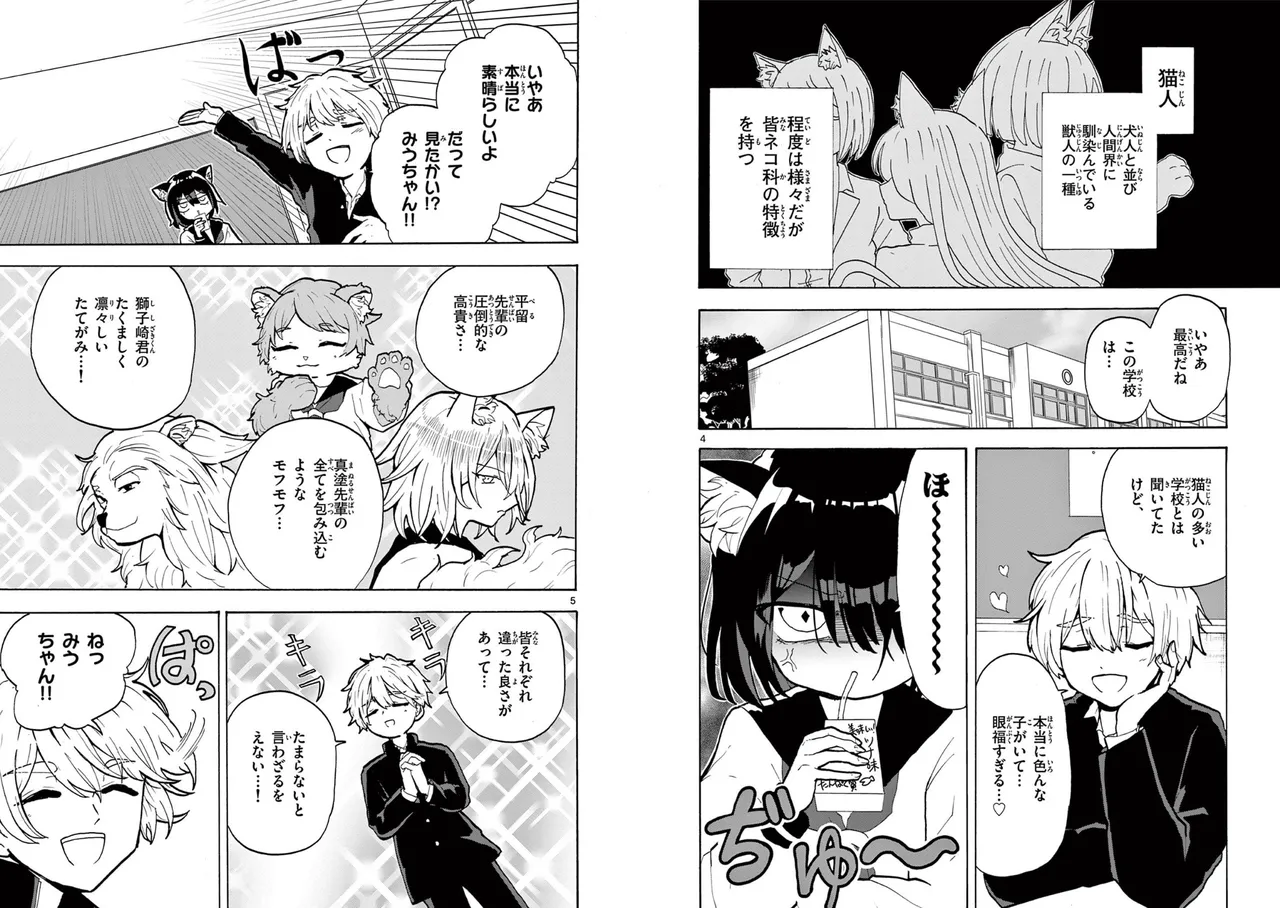 【柴田橋】Miu-chan's NO.1 ! page 4 full