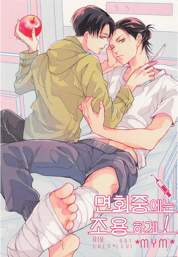 (Chou Hekigai Chousa Haku 2019) [*MYM* (Asakura)] Menkaichuu wa Oshizuka ni! | 면회중에는 조용하게! (Shingeki no Kyojin) [Korean] cover