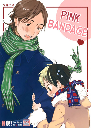 [S-Size (Shinachiku)] Momoiro no Bansoukou | Pink Bandage (Haikyuu!!) [English] {Chin²} cover