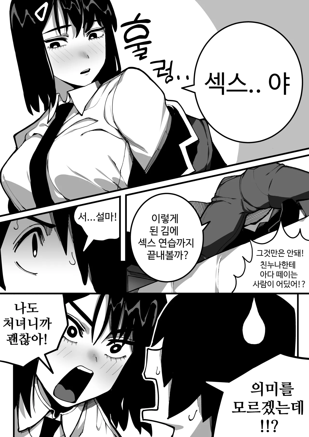 동생과 함께 섹스연습 page 11 full
